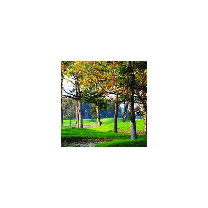 copy of 